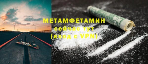 индика Богородицк