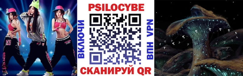 Галлюциногенные грибы Psilocybe  Ершов 